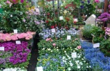 3-Day Belgique, Netherlands, Luxemburg Tour from Amsterdam